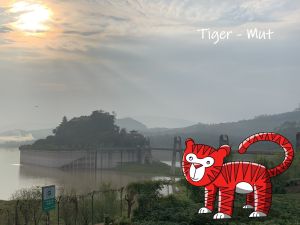 Tiger - Mut